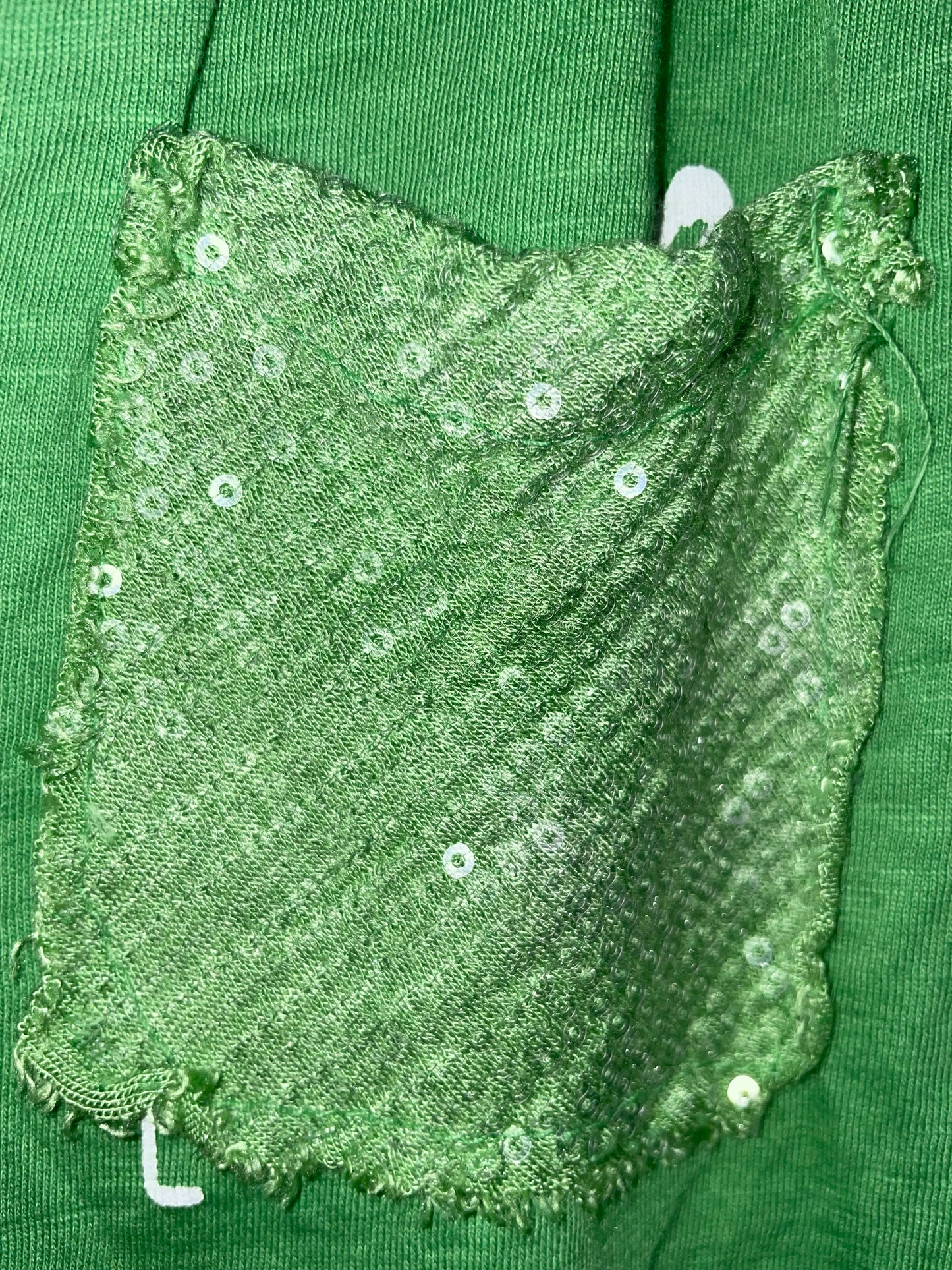 Tee-shirt flamand