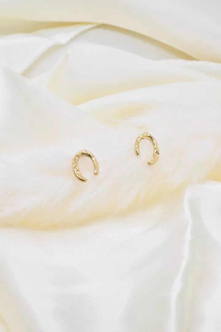 Boucle d'oreille en acier inoxydable fer à cheval