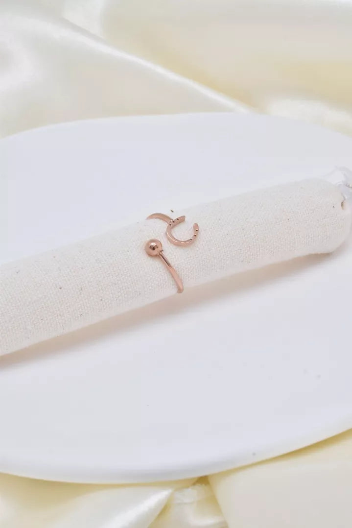 Bague en acier inoxydable fer à cheval