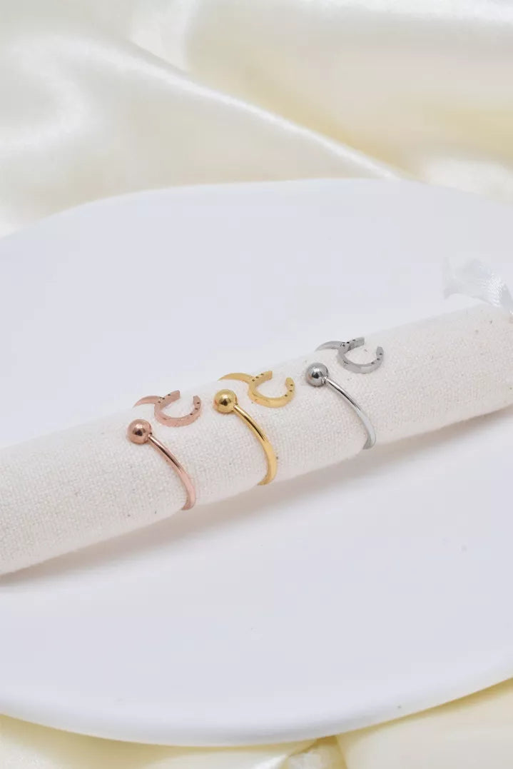 Bague en acier inoxydable fer à cheval