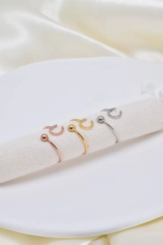 Bague en acier inoxydable fer à cheval