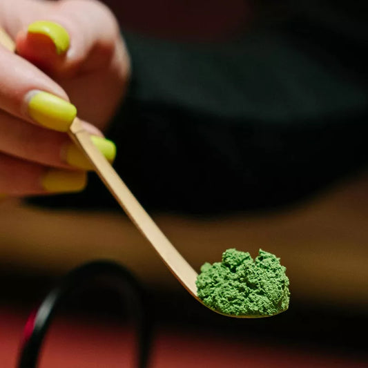 Matcha premium coco